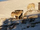 Dachstein 16.-18.02.07-thb11.jpg